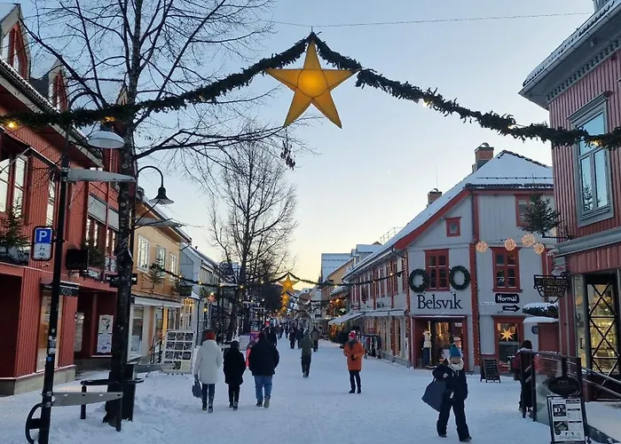 Storgata 36b בית הארחה *