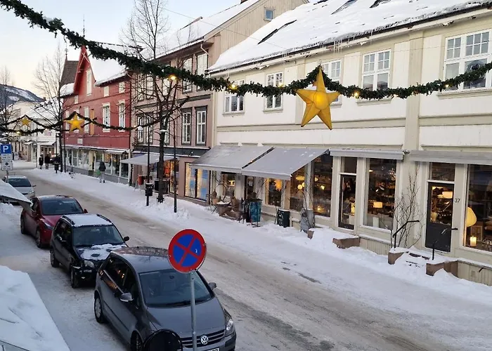 Storgata 36b בית הארחה לילהאמר